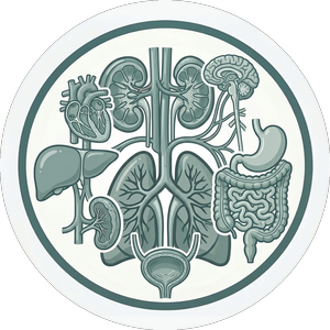 Internal Medicine